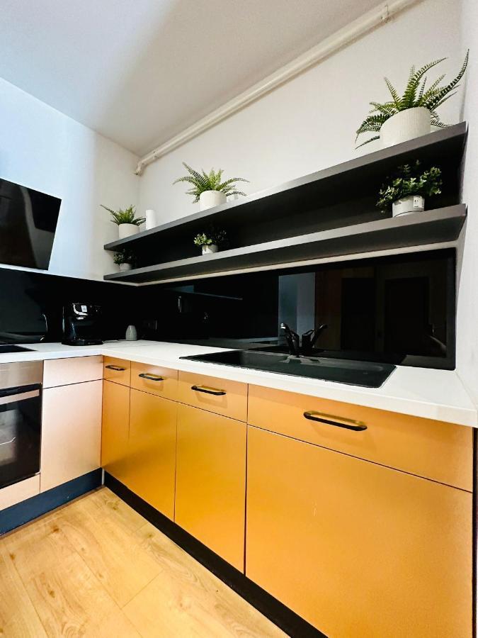 Kharisma Apartment-Free Parking-Ultracentral Kluž Exteriér fotografie